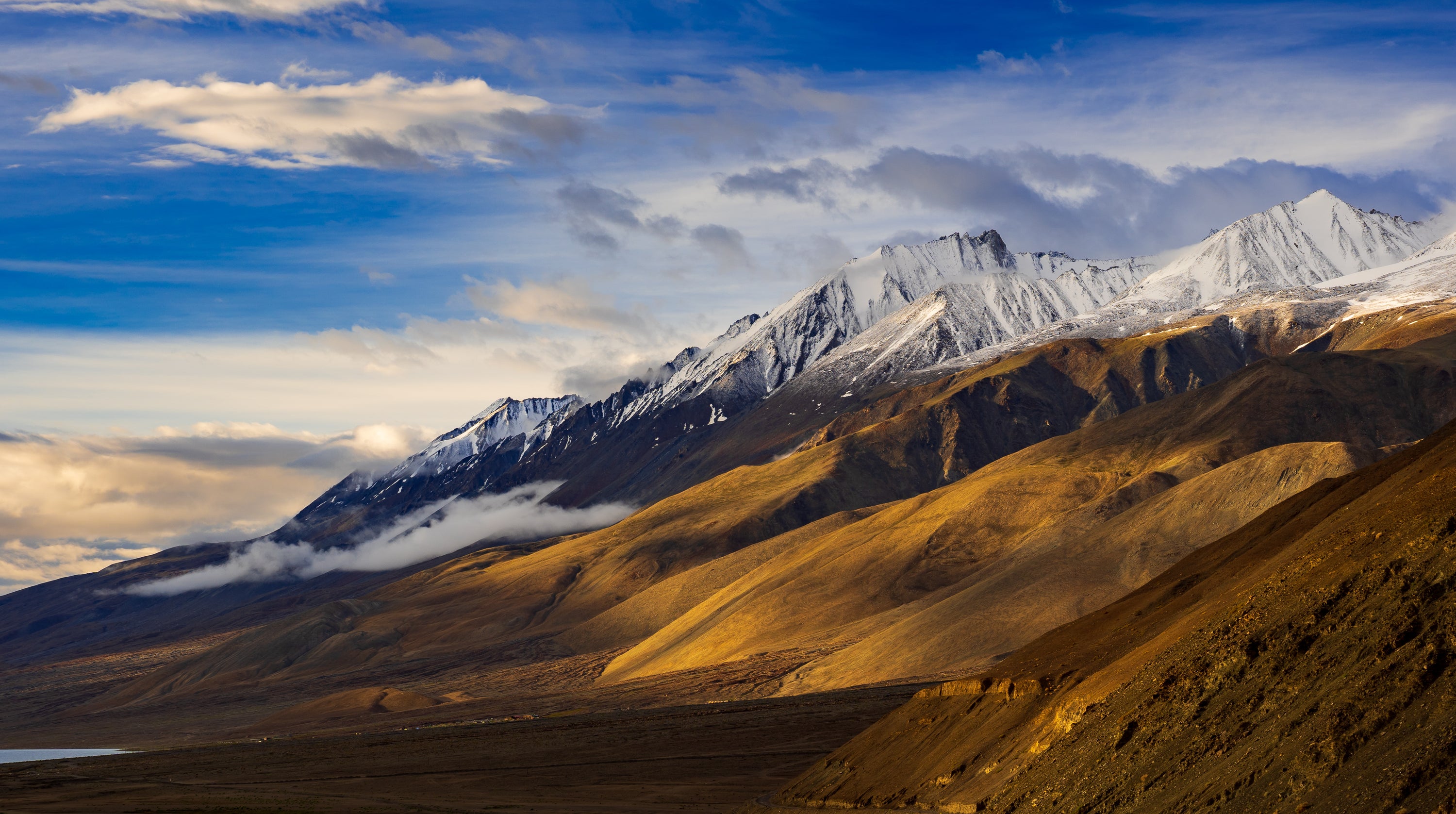 The History of Cashmere: From Ancient Origins to Modern Luxury